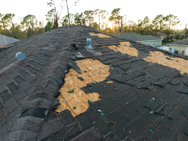 Best Solar Panel Roofing Installation  in Union City, OK