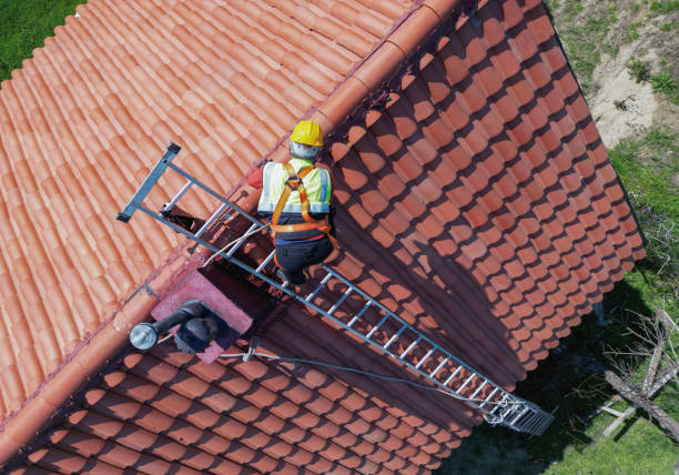 Best Roof Moss and Algae Removal  in Union City, OK